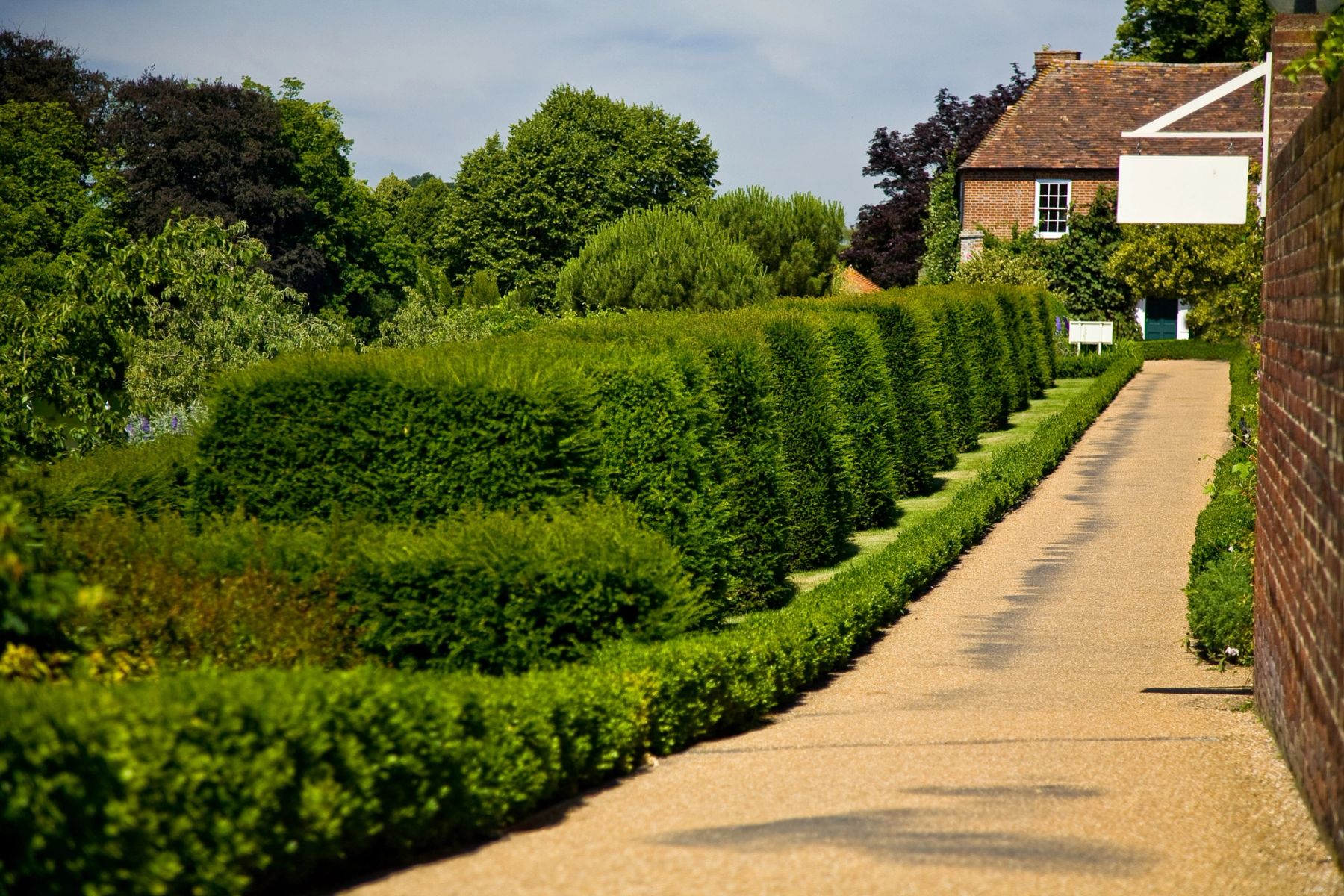 The Hedged Walk, Maidstone, Kent