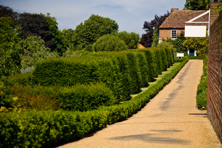 The Hedged Walk