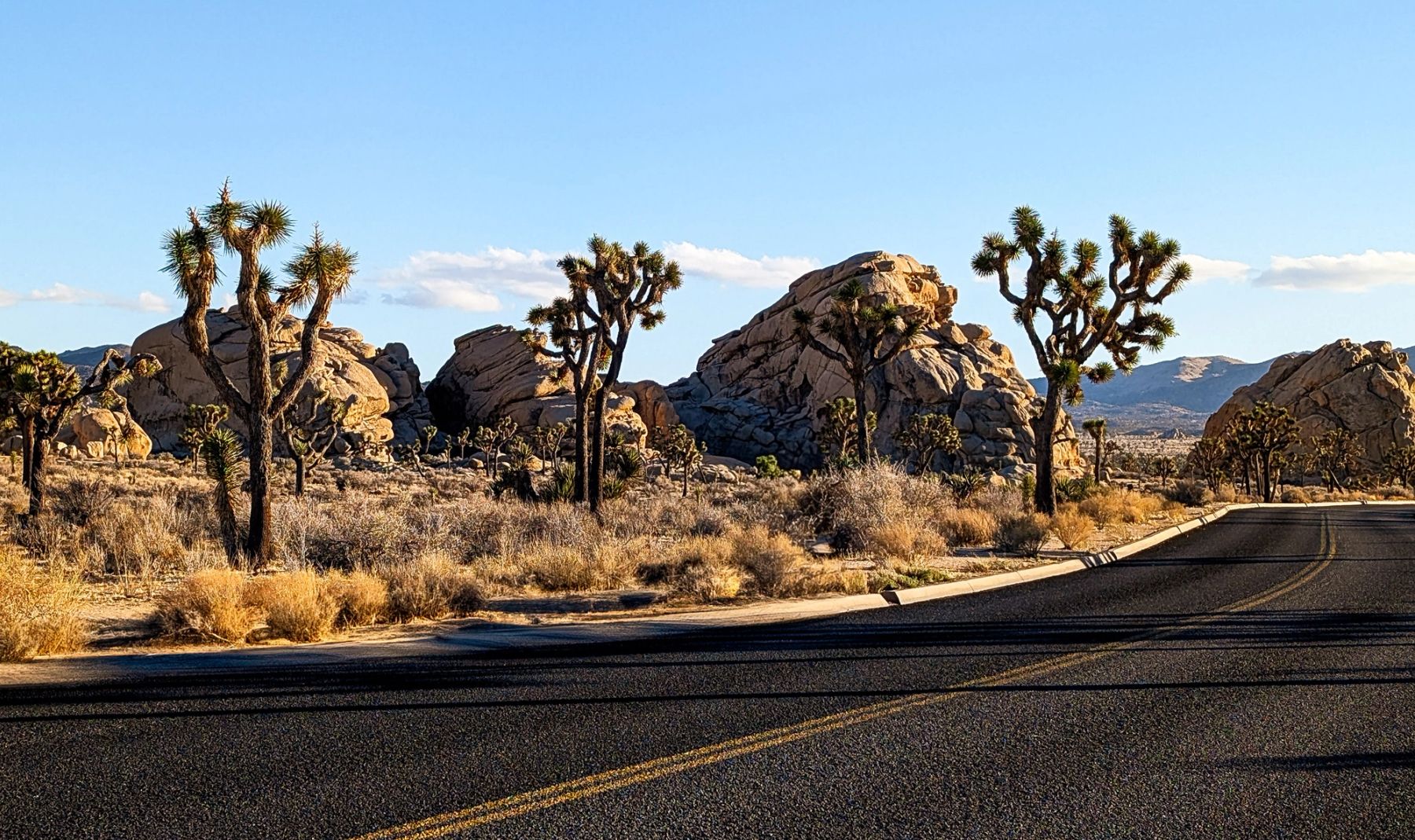 Curve through the Rocks, Joshua Tree, California