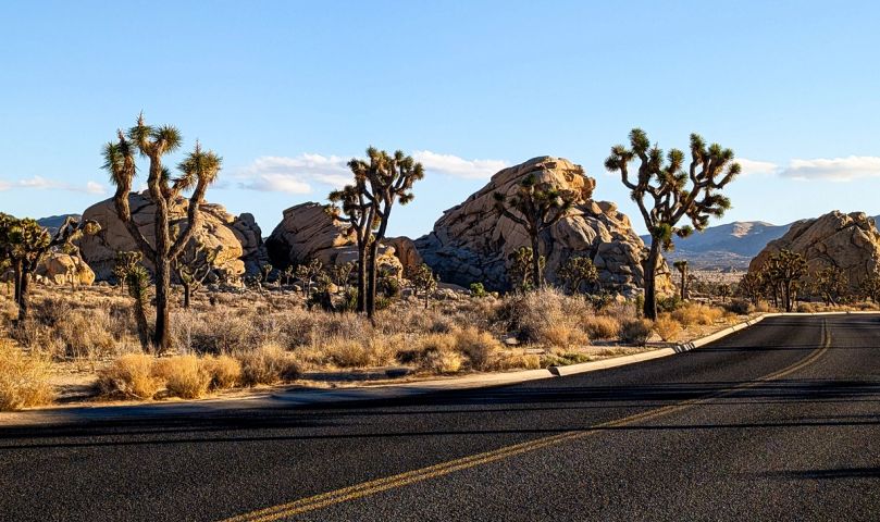 Curve through the Rocks