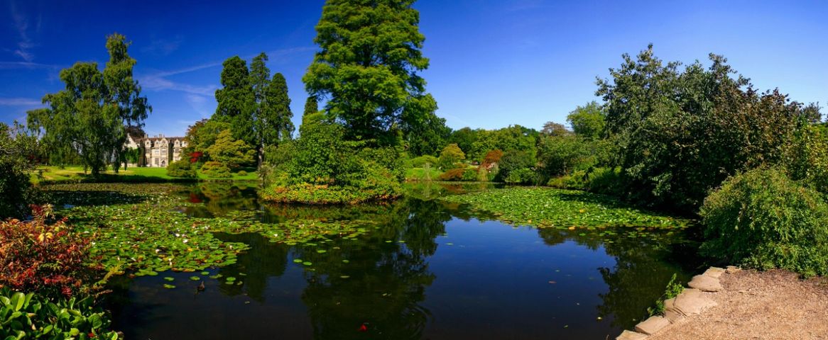 The Water Garden