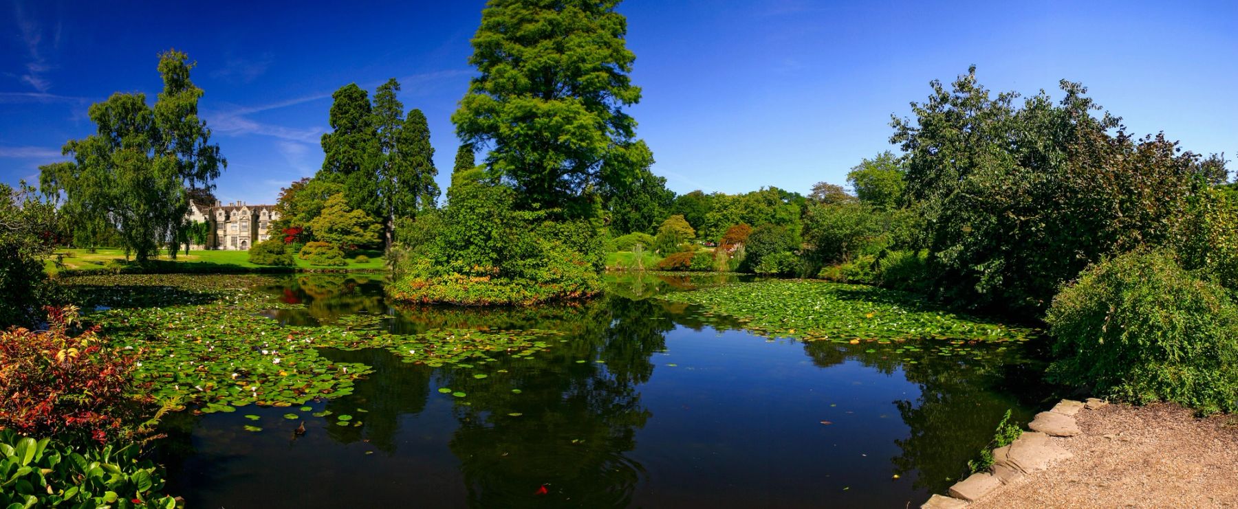 The Water Garden, Wakehurst, Ardingly