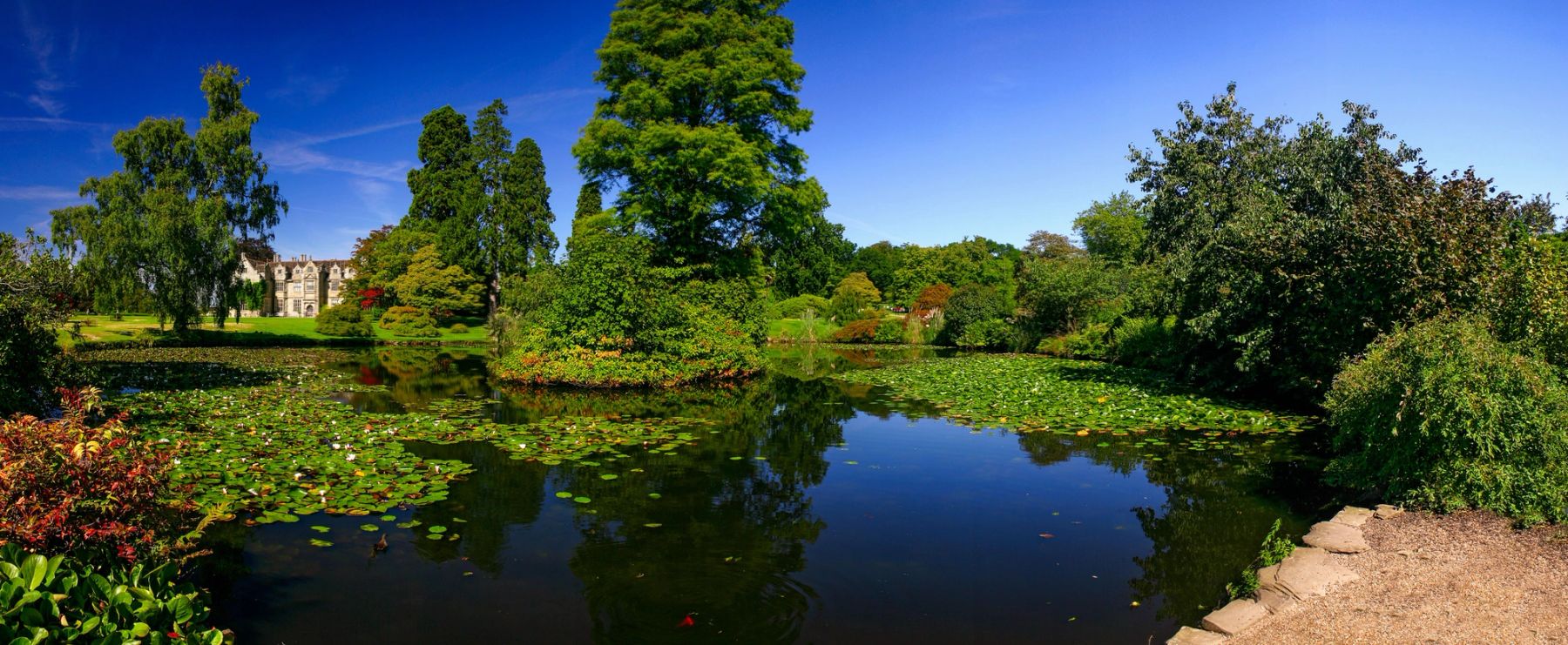 The Water Garden, Wakehurst, Ardingly