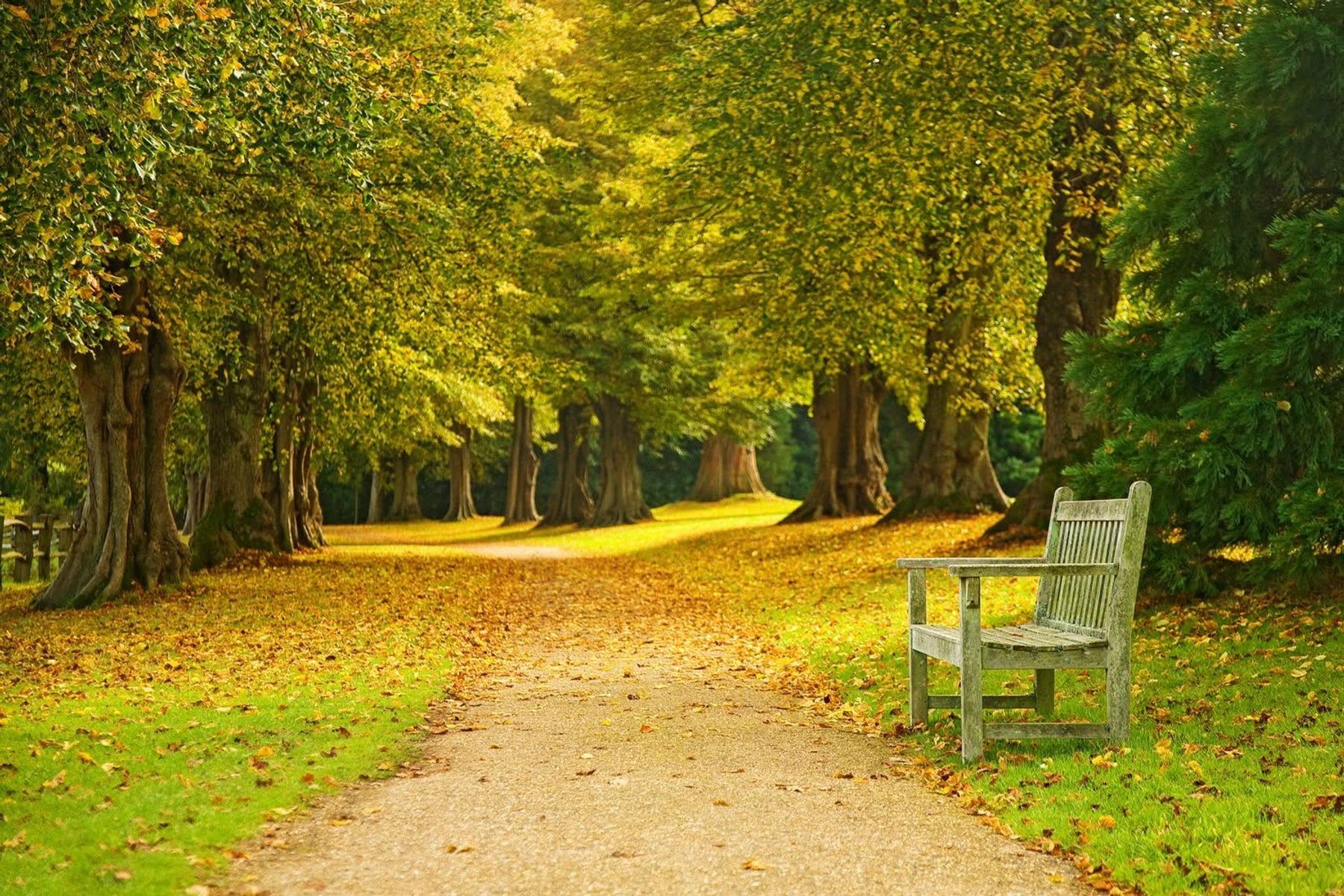 Autumn Avenue, Sussex