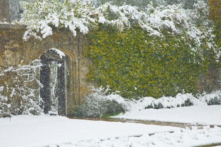 Snow on the Garden Wall