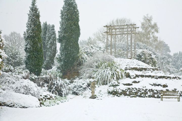 Rock Garden in Snow