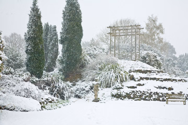 Rock Garden in Snow