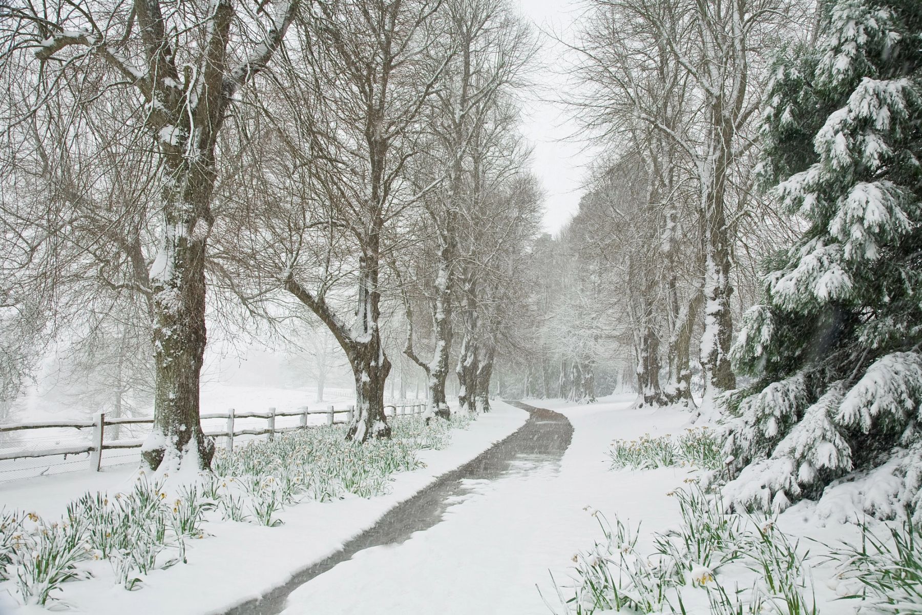 Snowy Avenue, Handcross, West Sussex