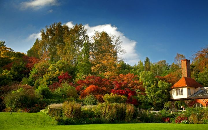 Autumn Borders at Standen