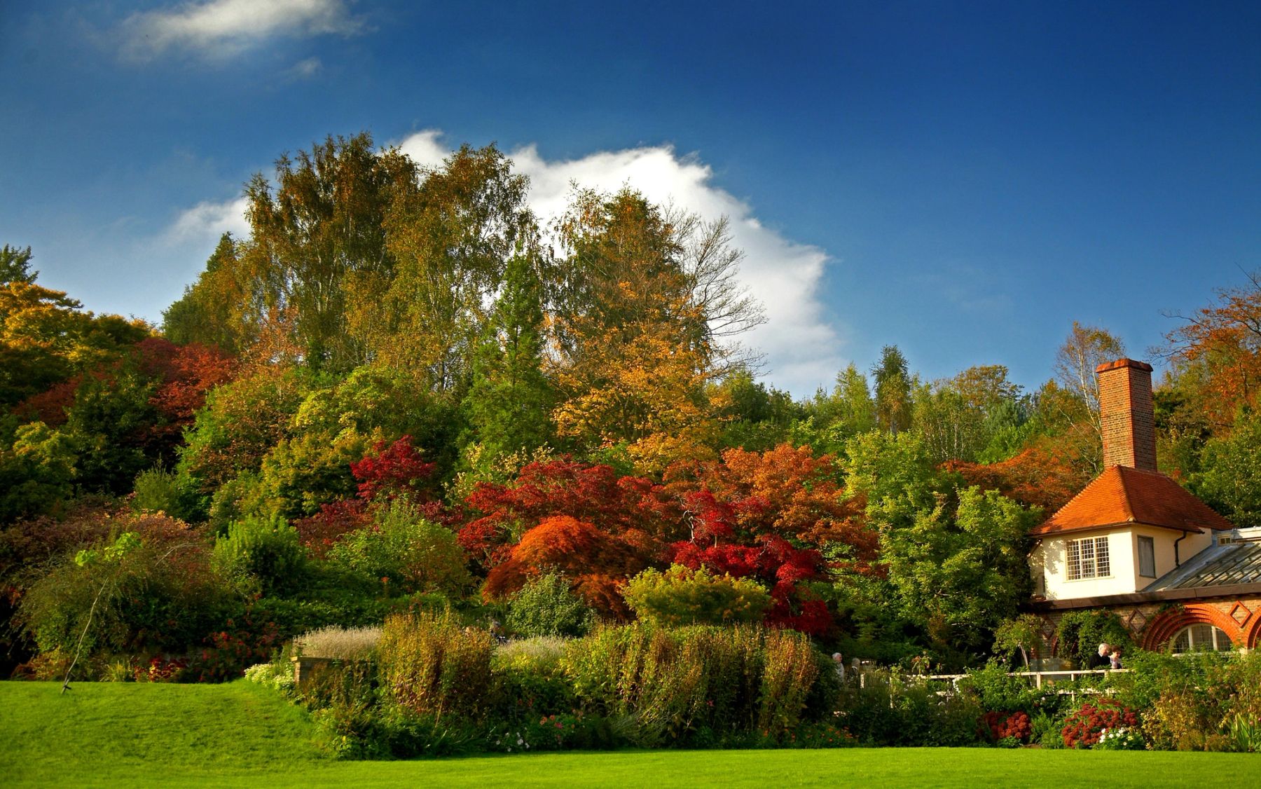 Autumn Borders at Standen, East Grinstead