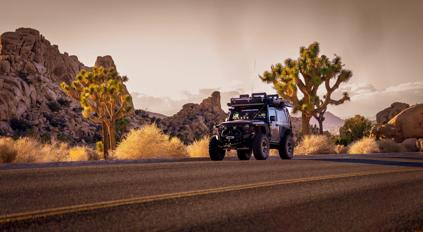 Jeep in the Golden Hour, Joshua Tree, California