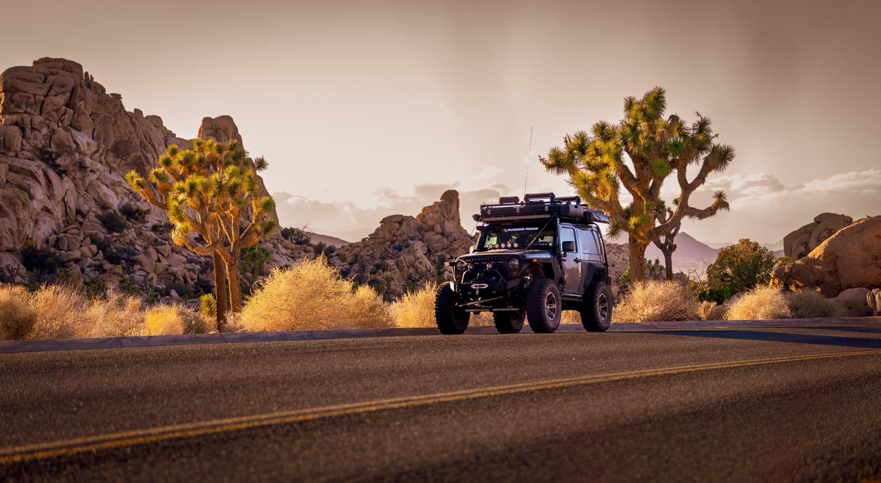 Jeep in the Golden Hour, Joshua Tree, California