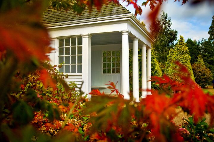 Summerhouse through Autumn Leaves