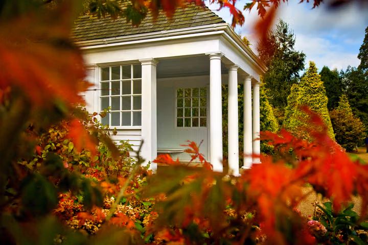 Summerhouse through Autumn Leaves