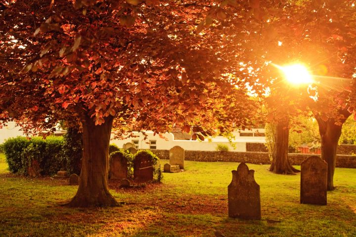 Autumn Sun in the Churchyard