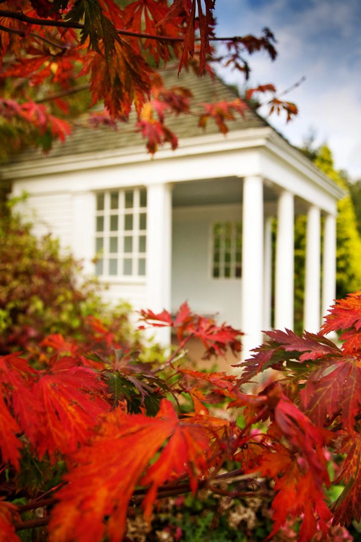 Summerhouse and Red Leaves