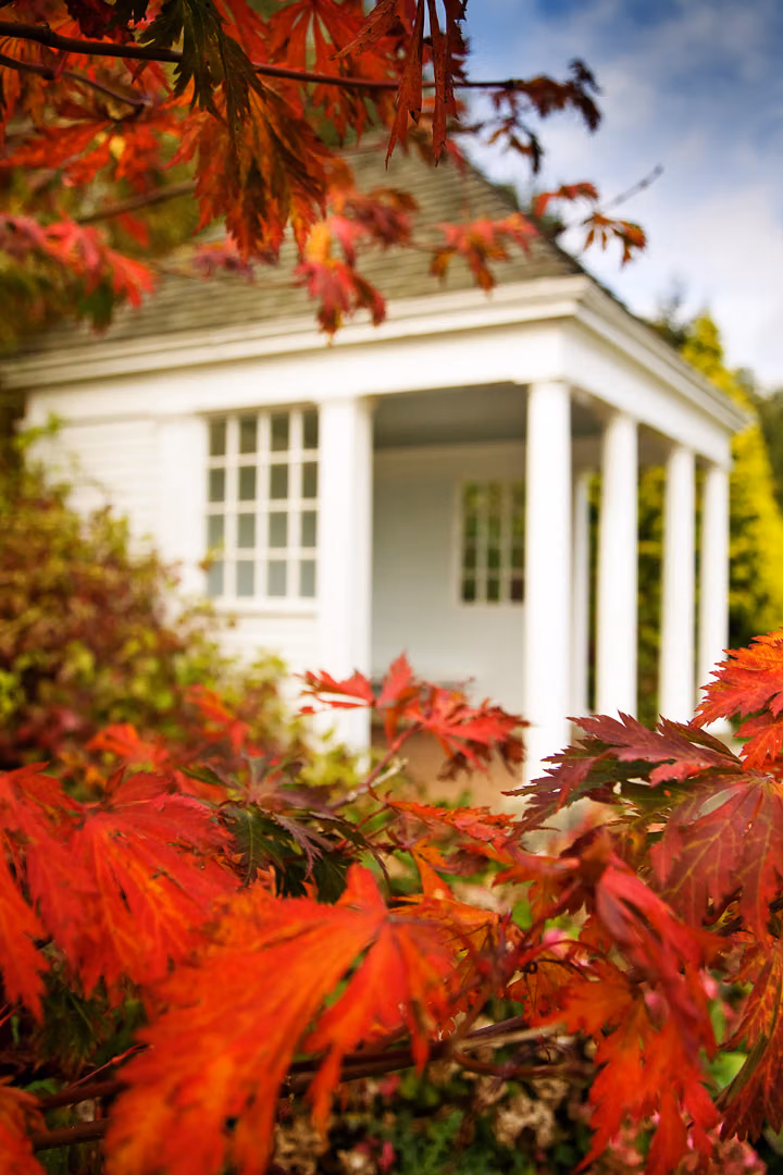 Summerhouse and Red Leaves