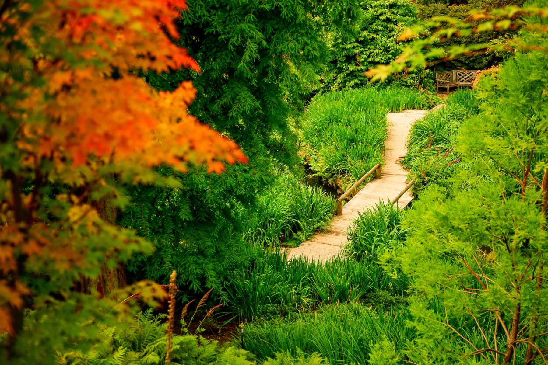 The Hidden Path, Wakehurst, Ardingly