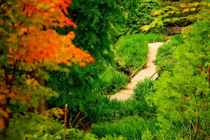 The Hidden Path