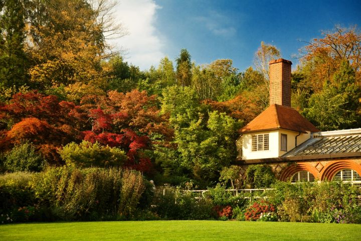 Autumn Colour at Standen