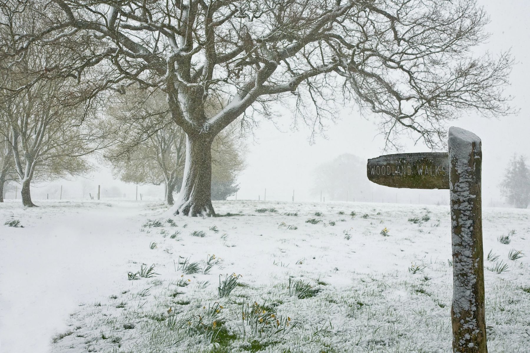 The Snowy Signpost, Handcross, West Sussex