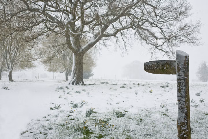 The Snowy Signpost