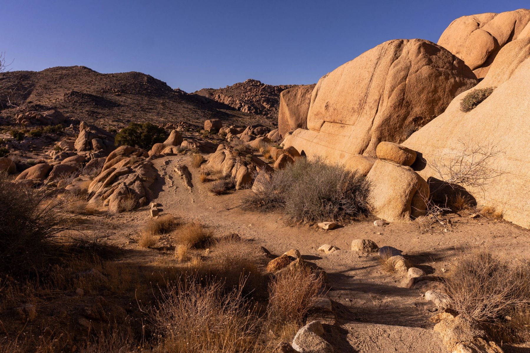 Boulders in the Afternoon Sun, Joshua Tree, California