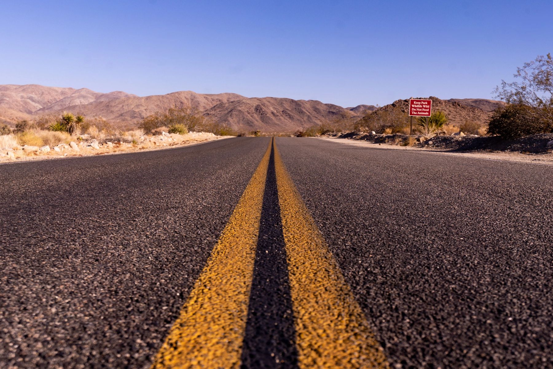 Down the Yellow Line, Joshua Tree, California