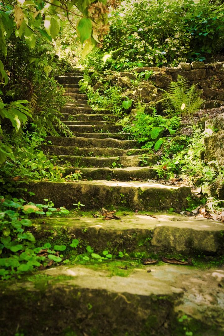 Mossy Garden Steps
