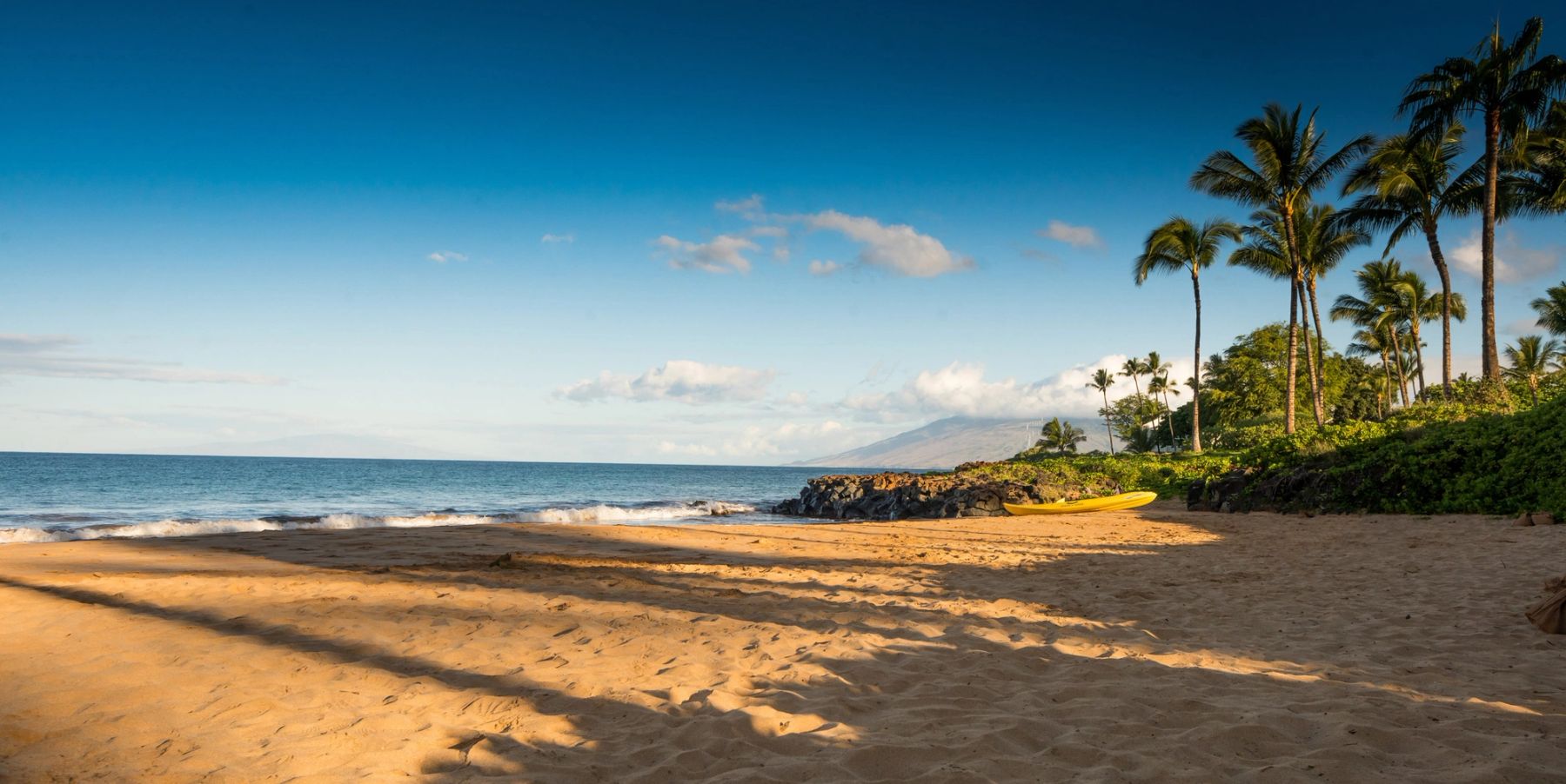 Palms and Pale Sand, Maui, Hawaii
