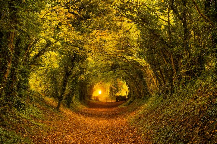 Light at the End of the Tunnel