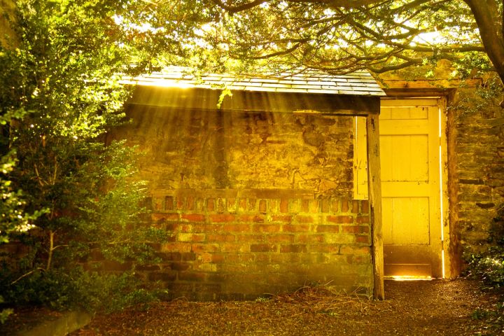 The Garden Door
