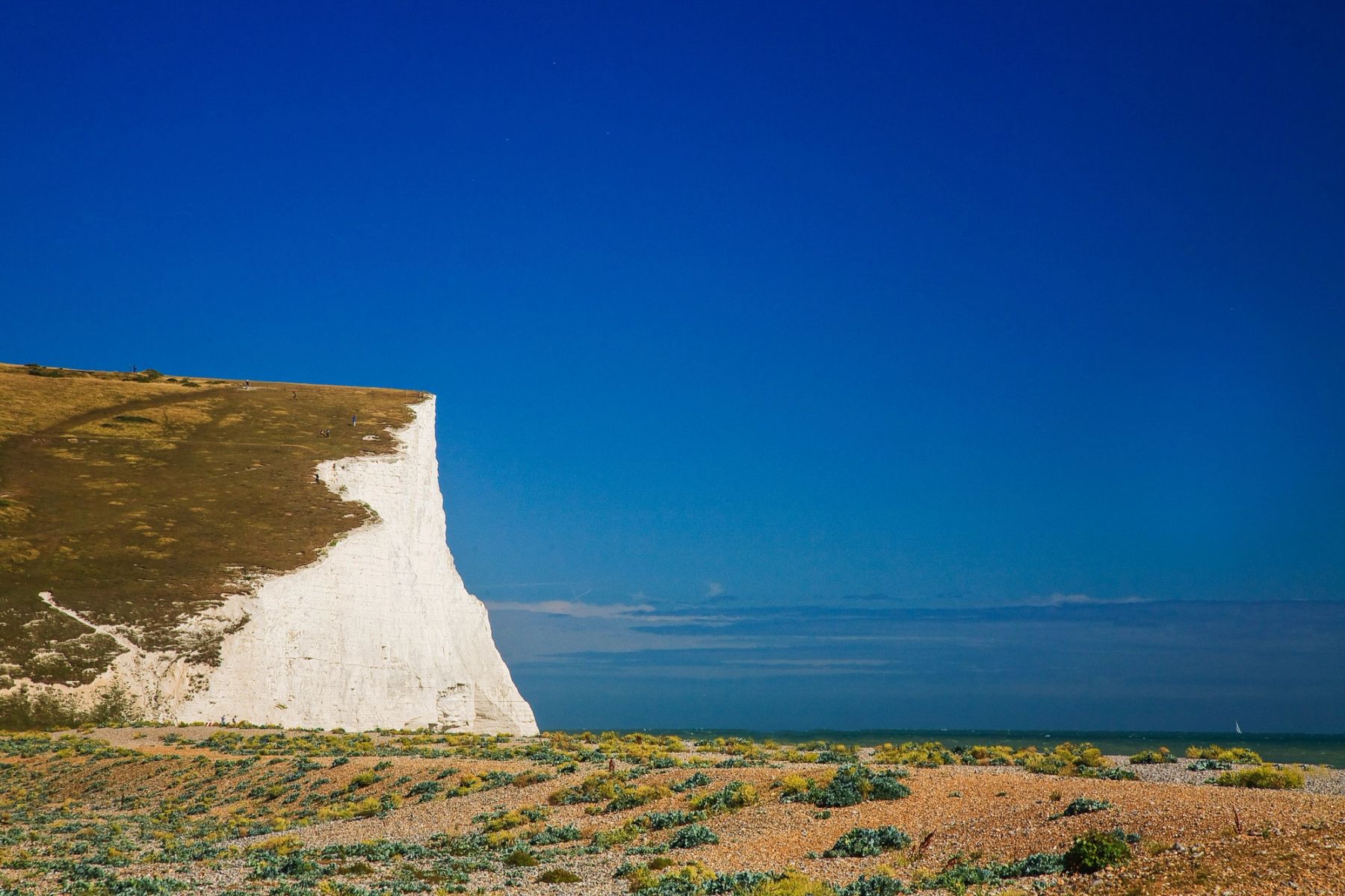 Chalk Cliff and Shingle, Seven Sisters