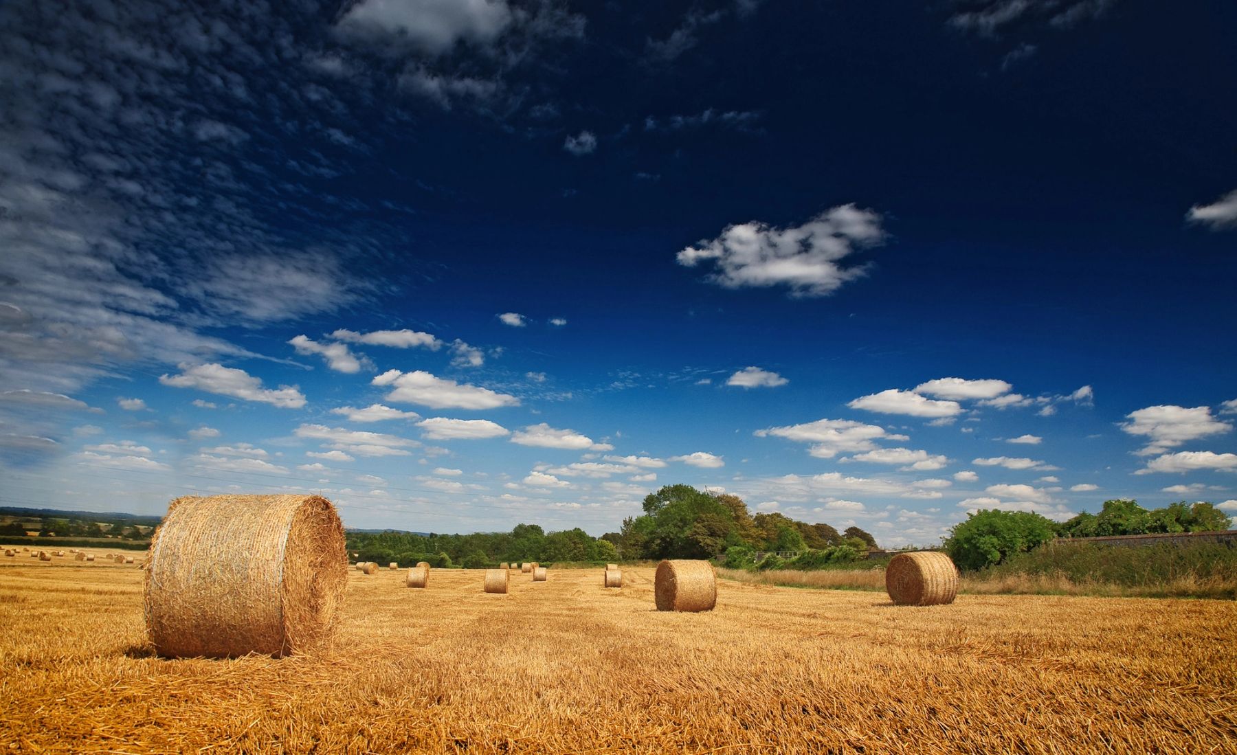 Bales under a Blue Sky, Sussex