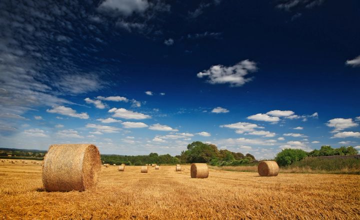 Bales under a Blue Sky