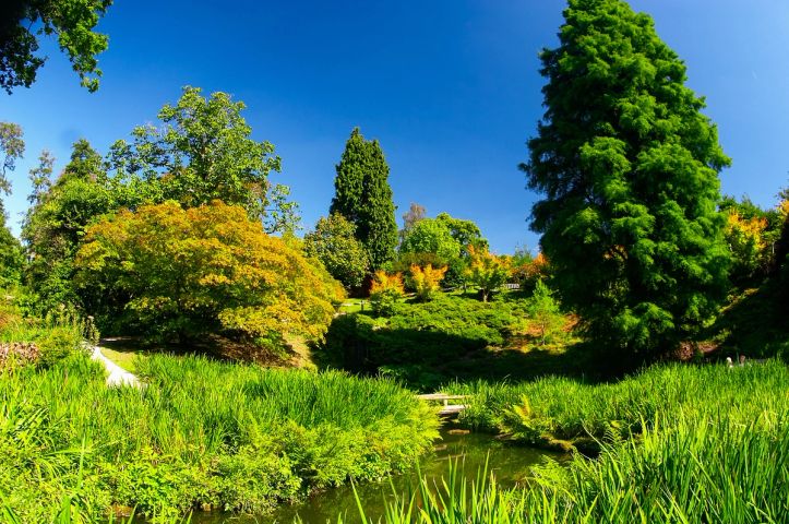 The Stream Garden