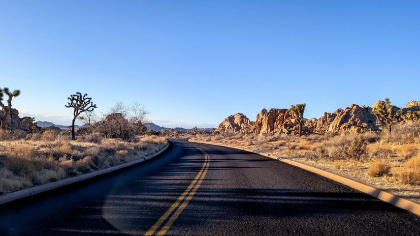 Open Road at Joshua Tree
