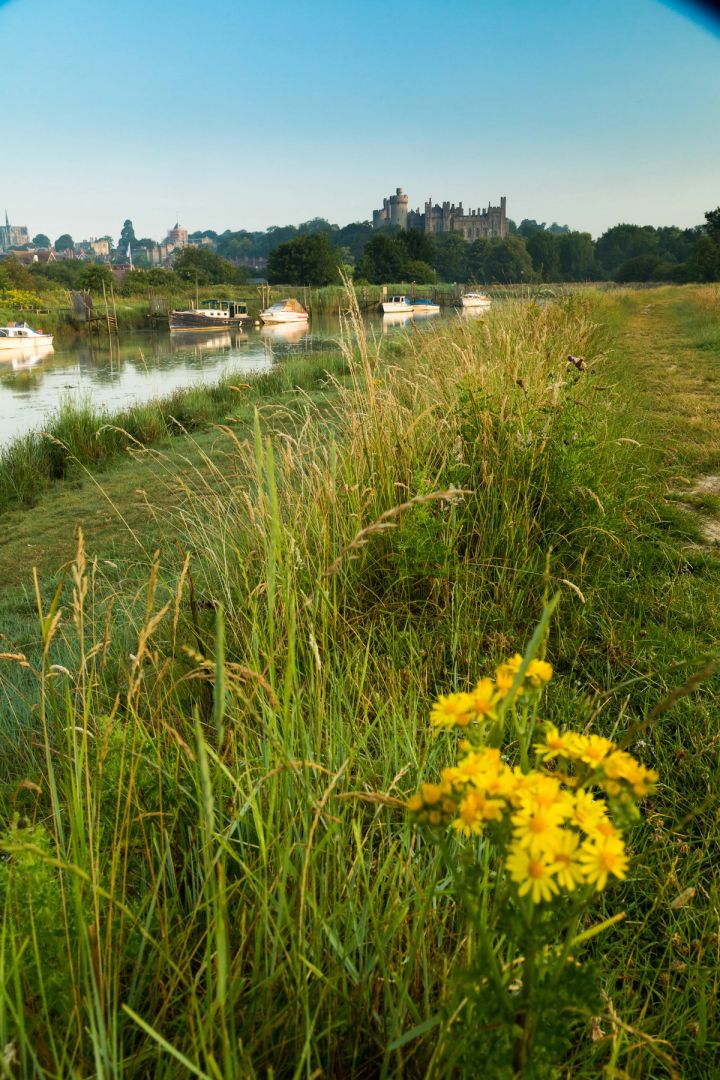 The Riverside Path