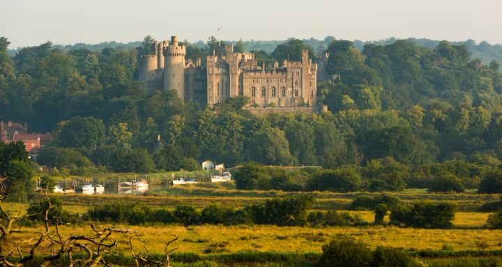 Castle above the Trees