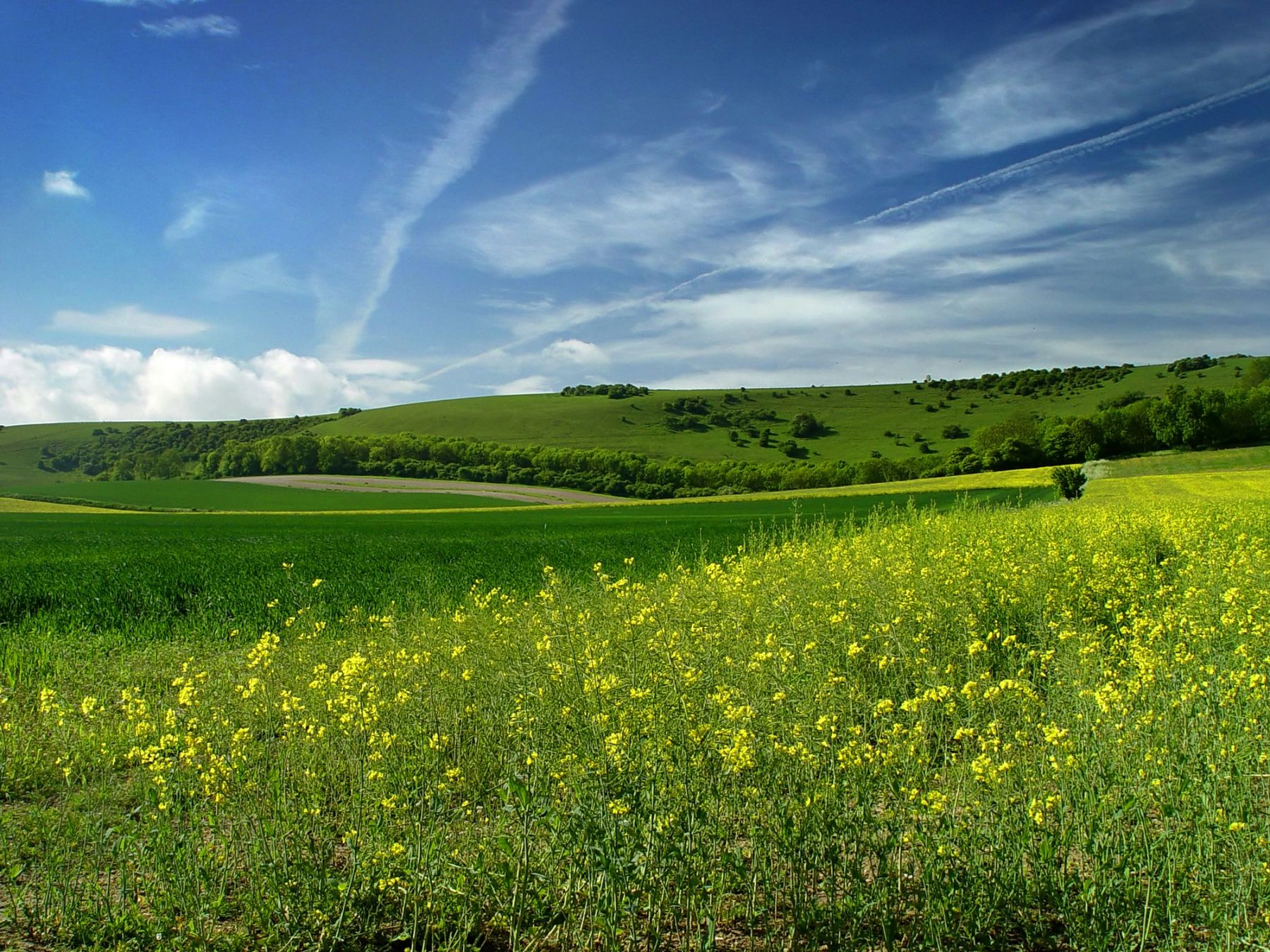 Wispy Skies over the Downs, South Downs