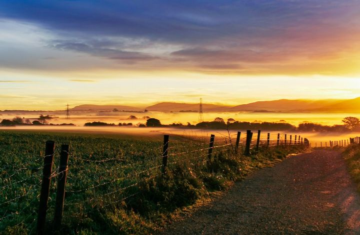 Misty Sunrise on the Downs