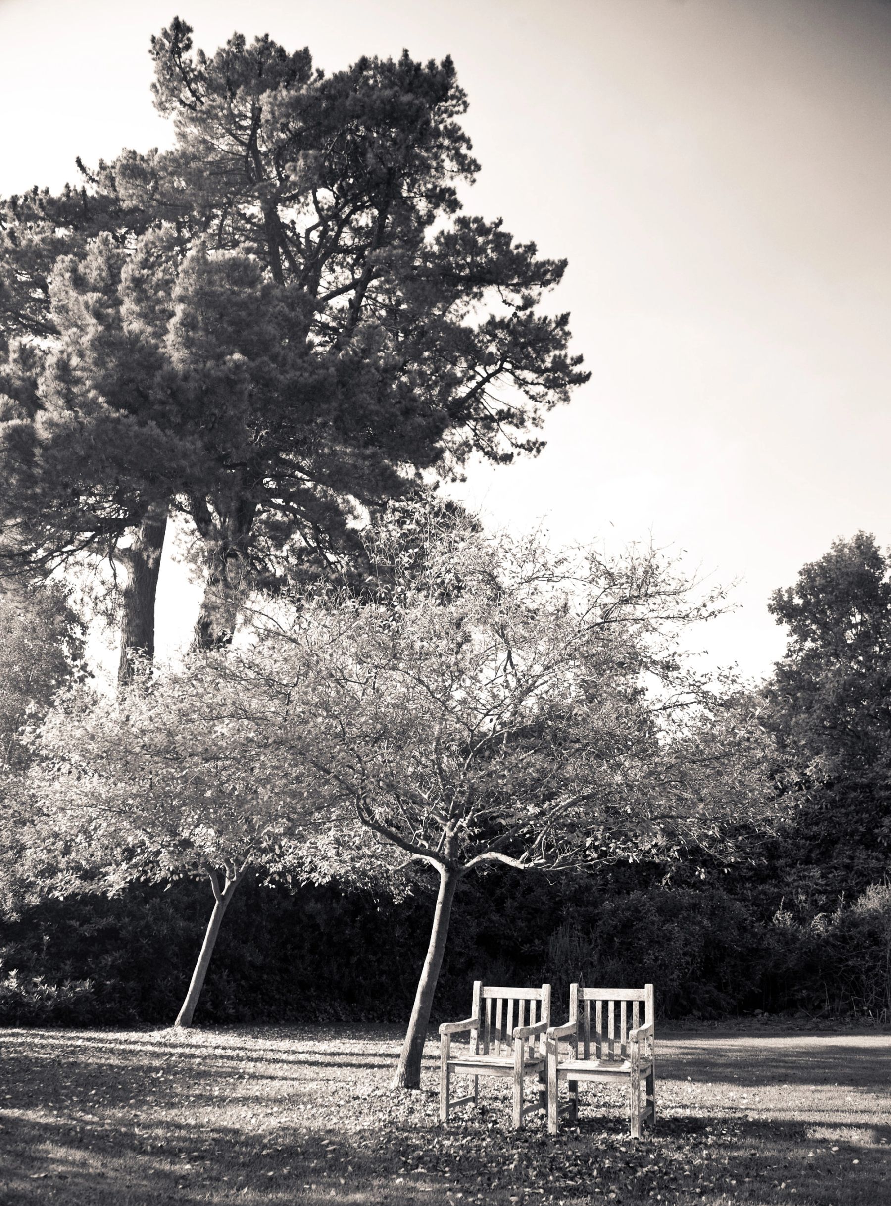 The Benches in Mono, East Grinstead
