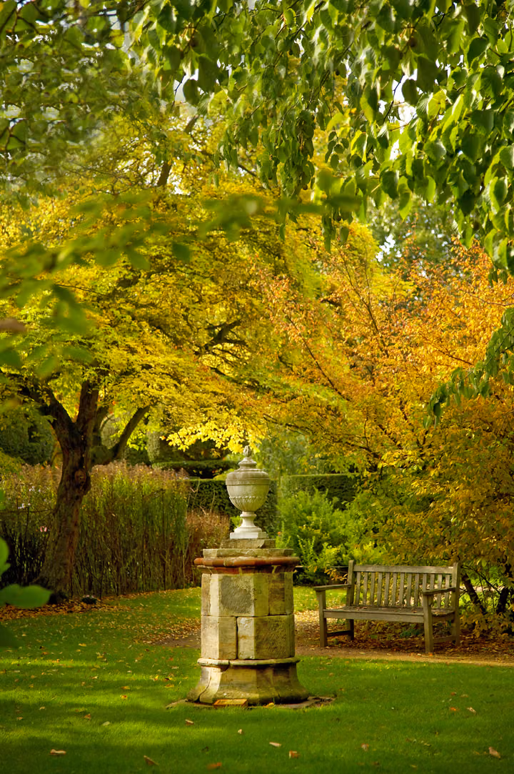 Urn in the Autumn Garden