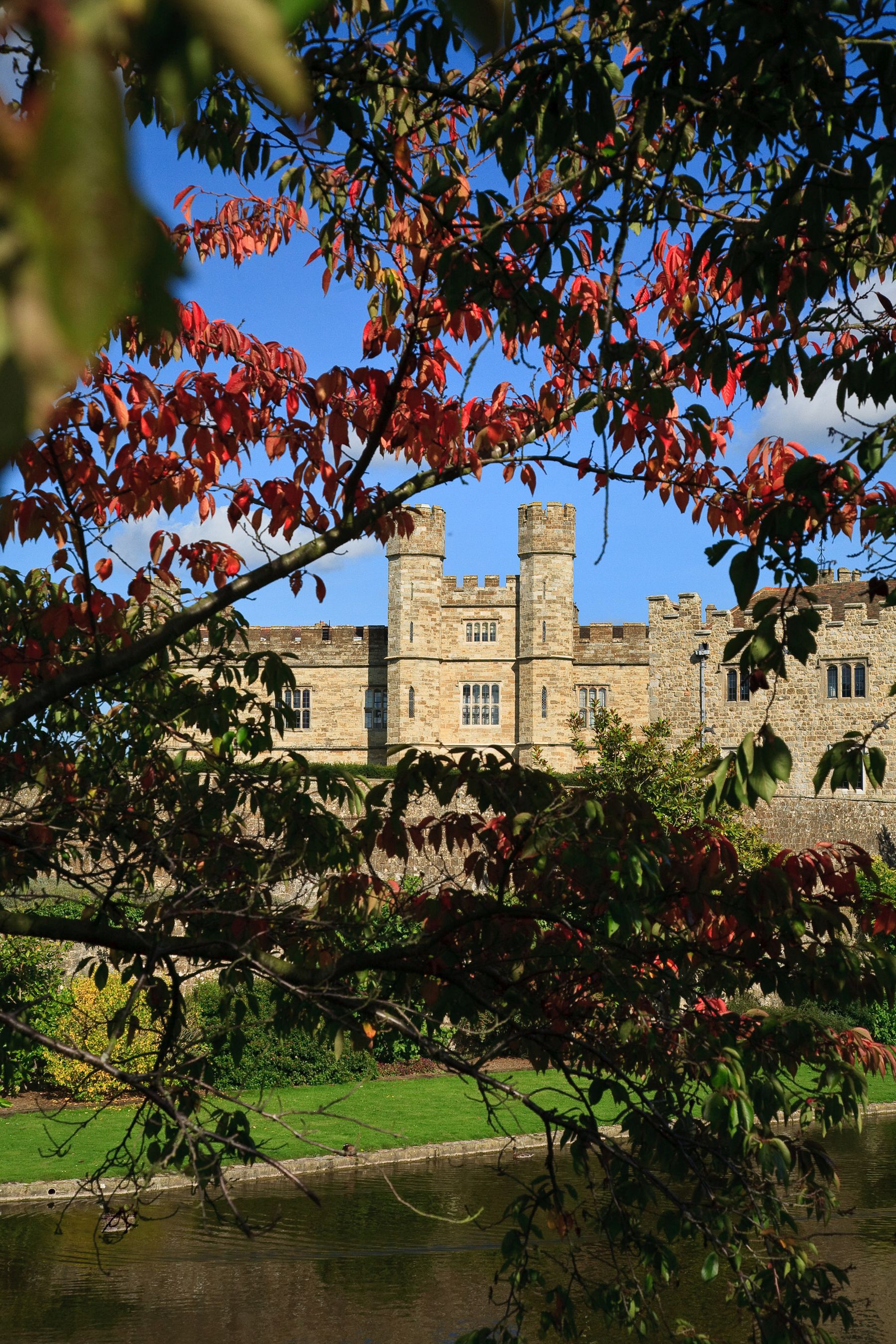 Framed in Autumn Leaves, Maidstone, Kent