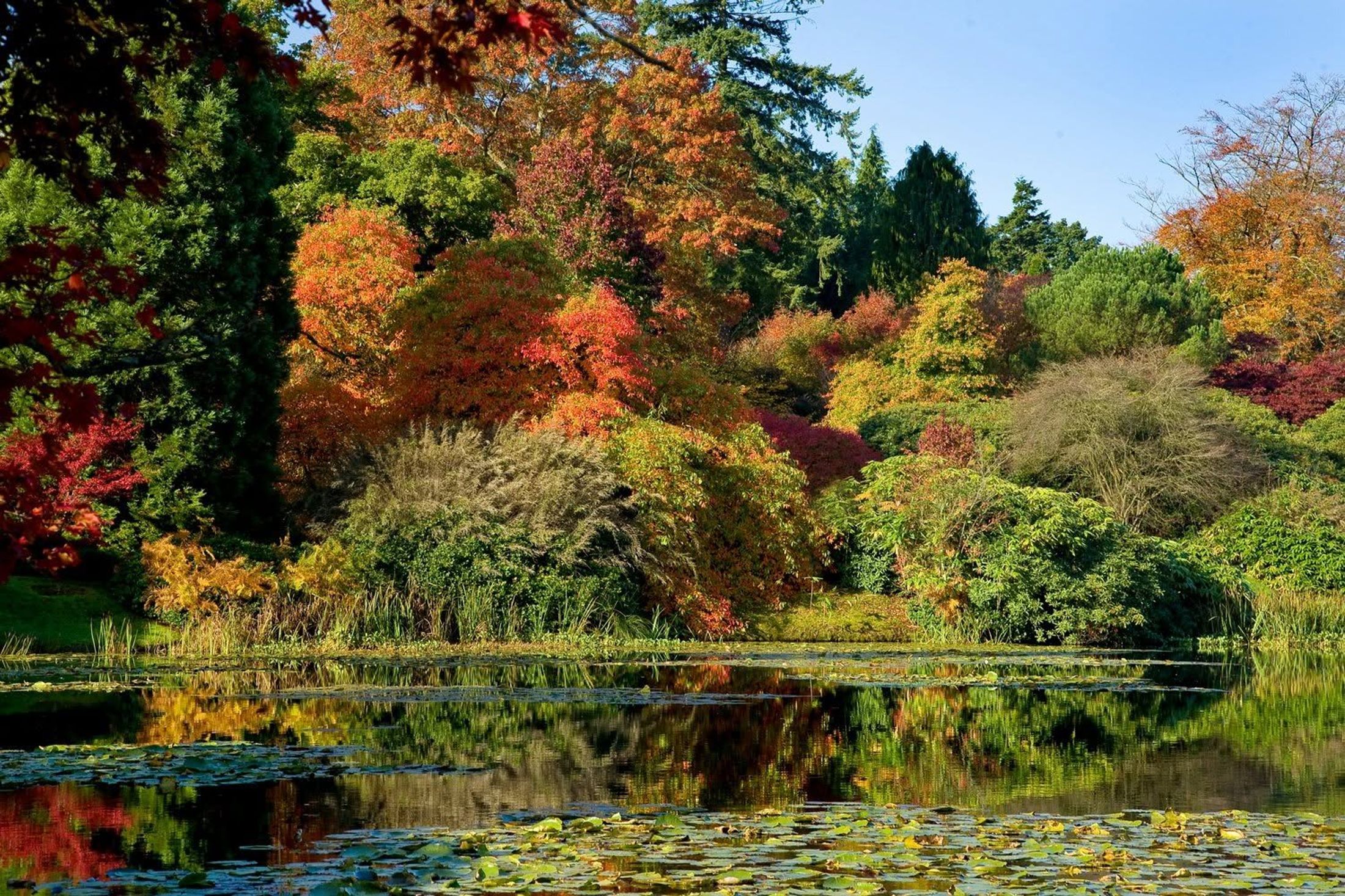 Autumn Reflections