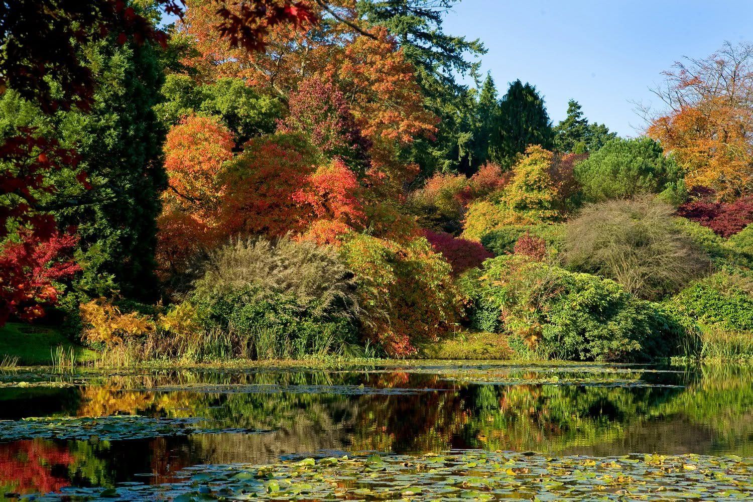 Autumn Reflections, Sussex gardens