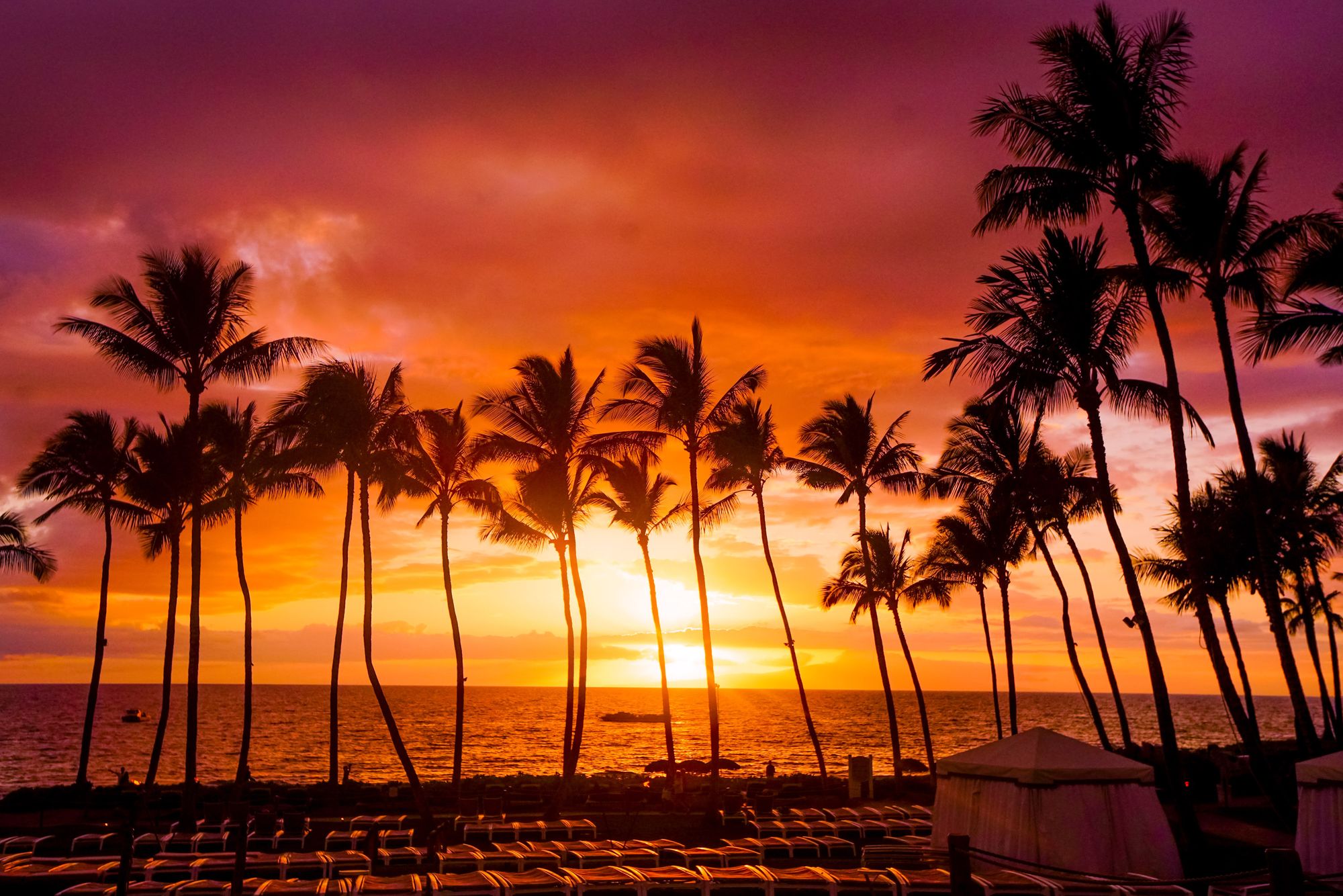 International – photography print by Scott Wright