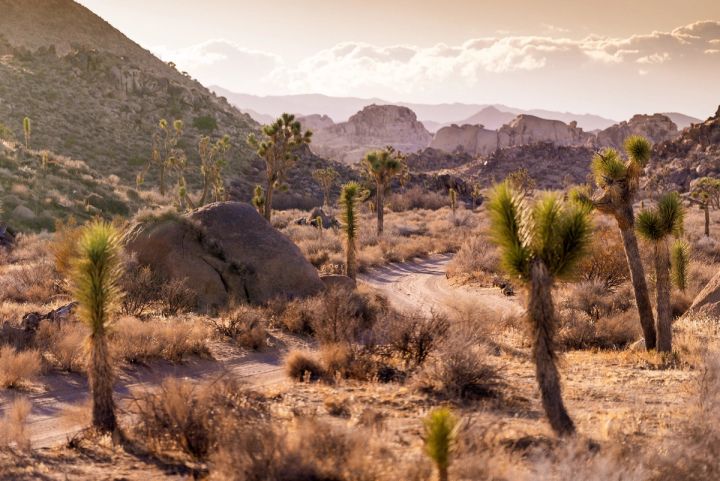 Hazy Desert Valley