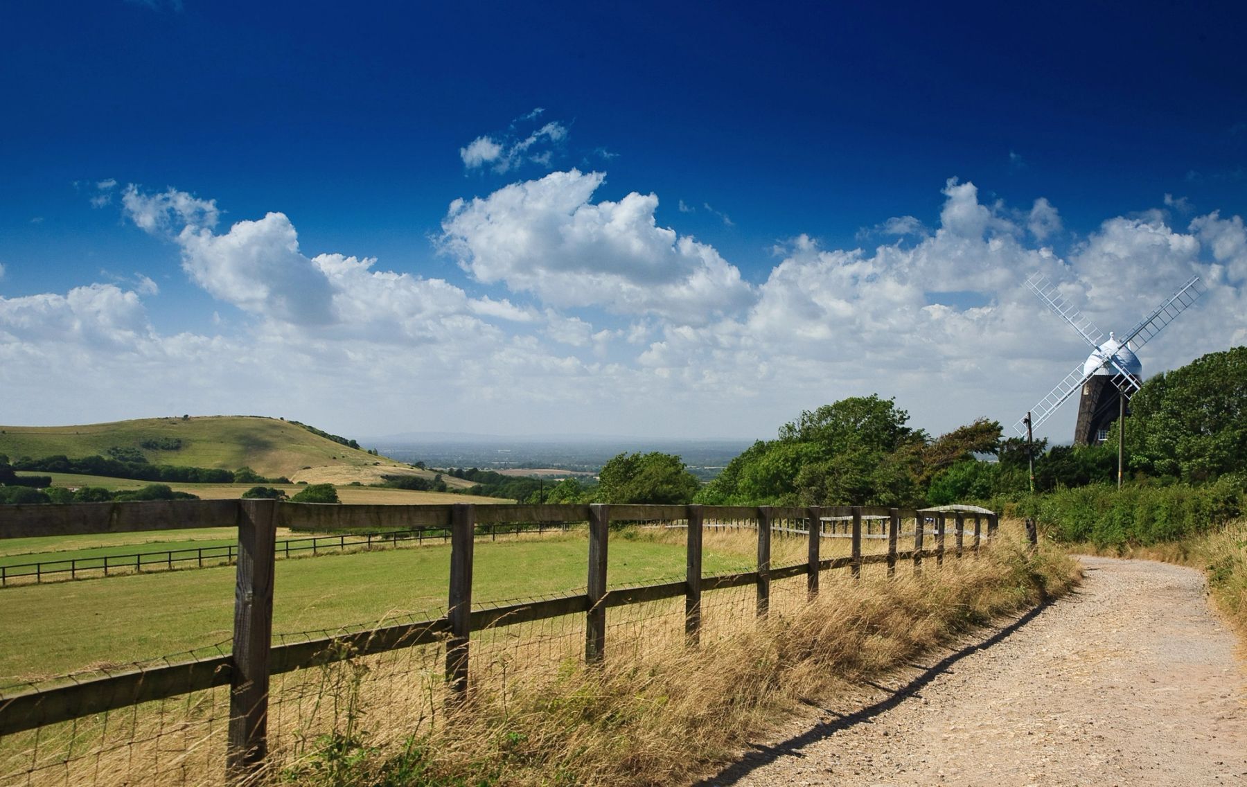 The Downs Track, Clayton
