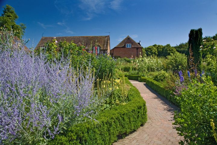 Lavender Borders